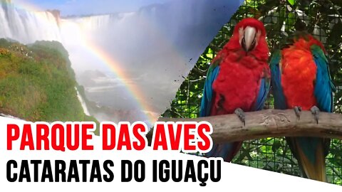 Parque das Aves / Cataratas do Iguaçu - Viajando com a Cintia