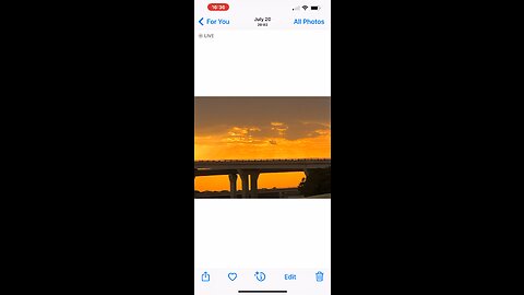 ❤️🦅🦁🐑🦁🦅❤️