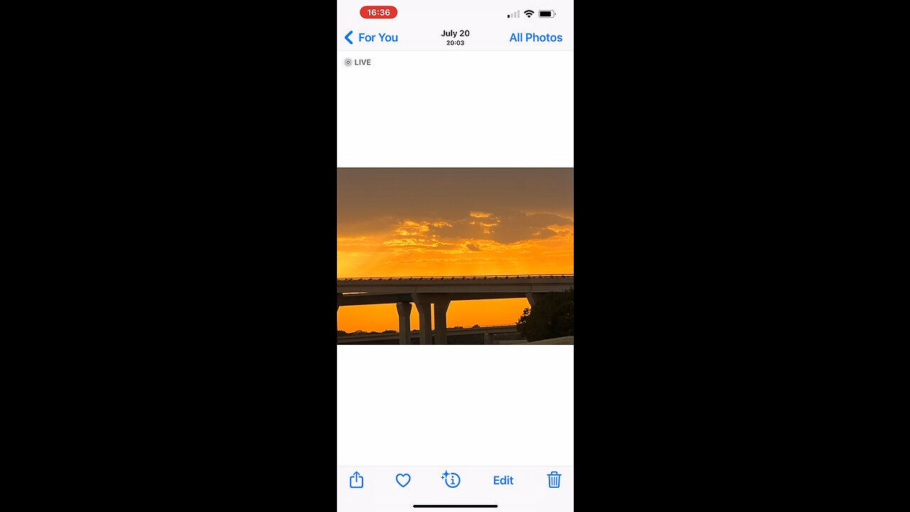 ❤️🦅🦁🐑🦁🦅❤️