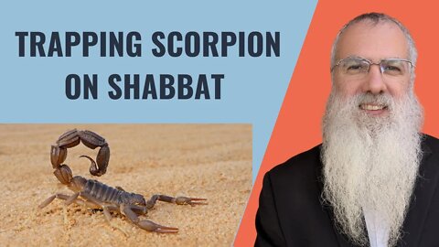 Mishna Shabbat Chapter 16 Mishnah 7 Trapping scorpion on Shabbat