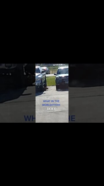 What in the world!!??!!!!!!!!👀👀👀