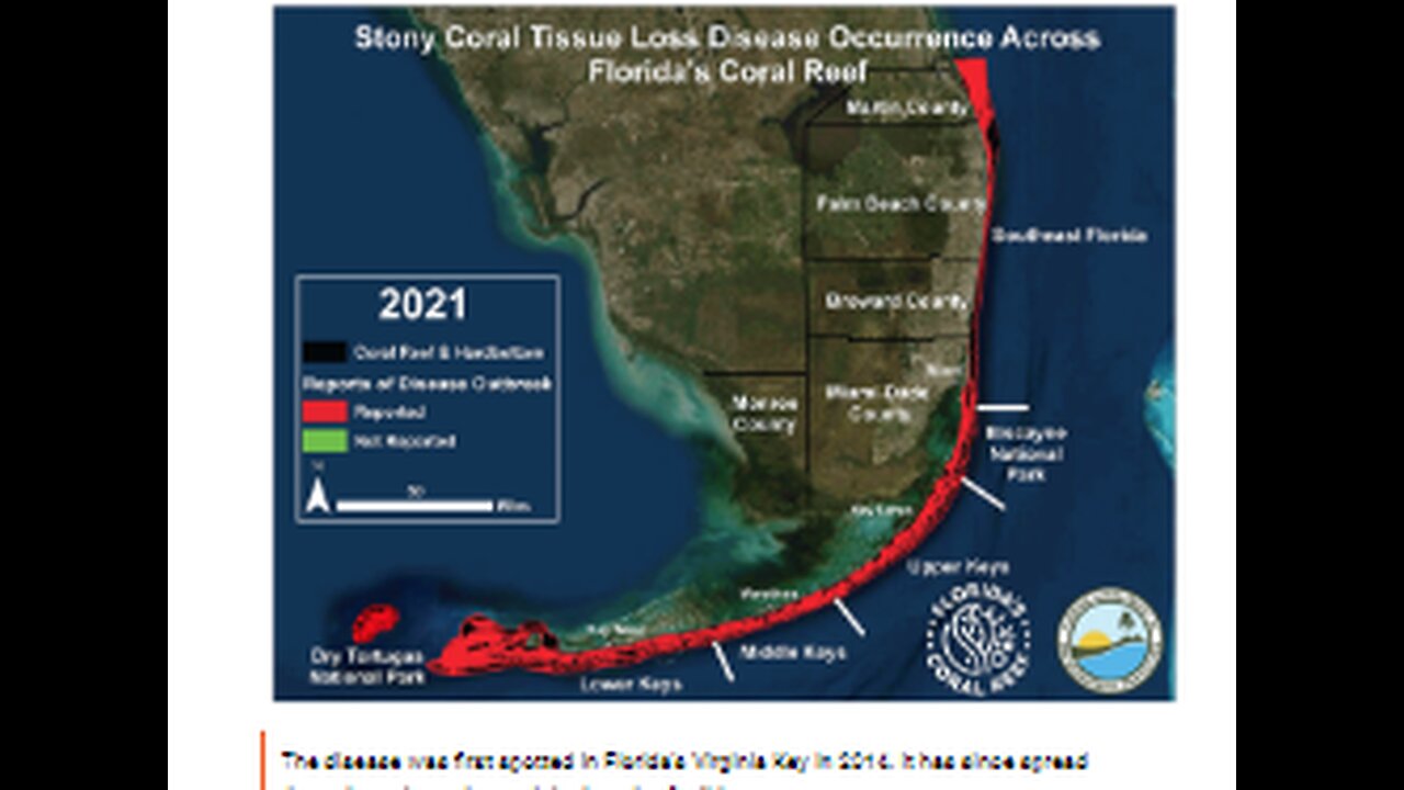 FLORIDA CORAL REEFS SICK & DYING FROM MYSTERIOUS DISEASE NOW SPREADING IN CARIBBEAN