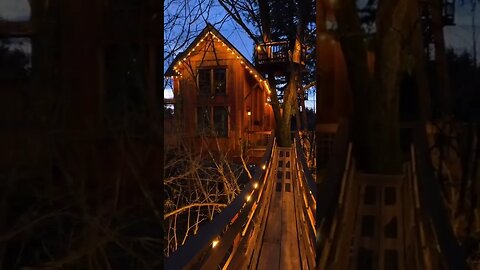 Magical Tree House tiktok rae abby