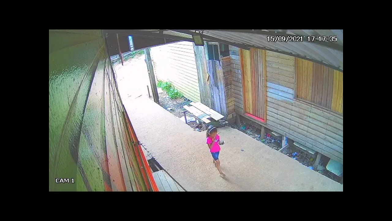 CAMERA DE SEGURANÇA VIDEO 2