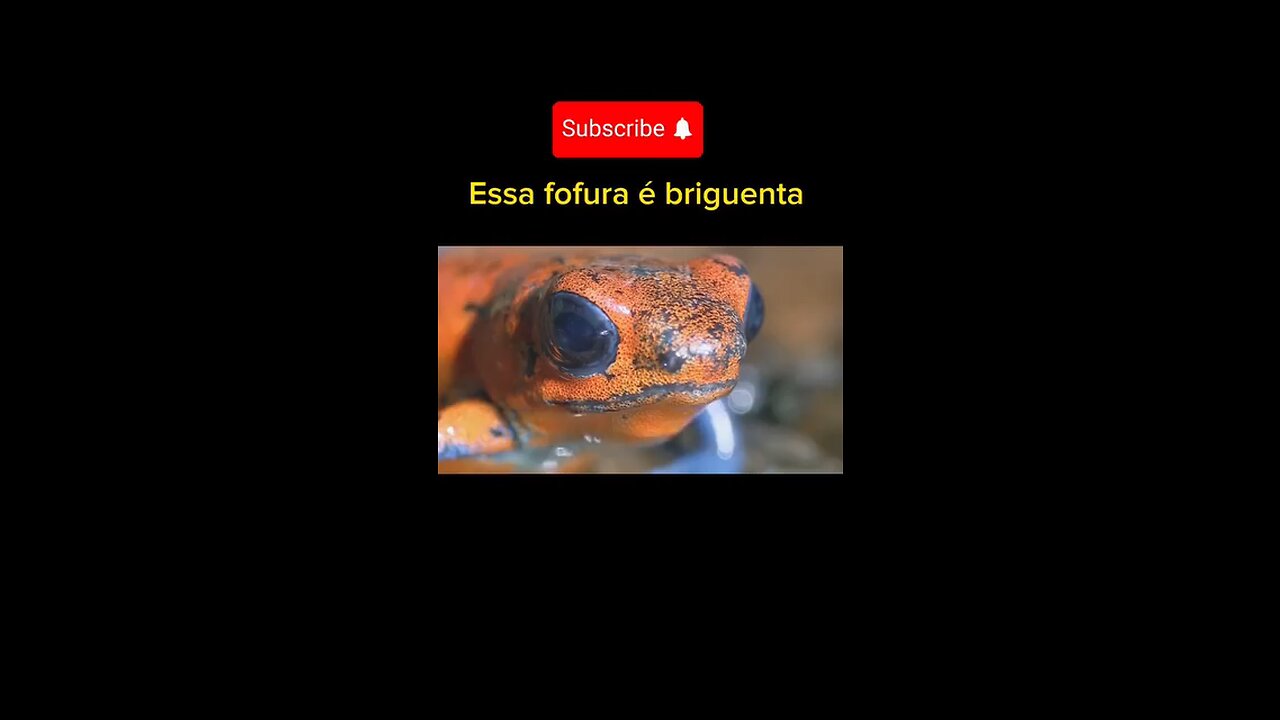 essa totura e bnguenta