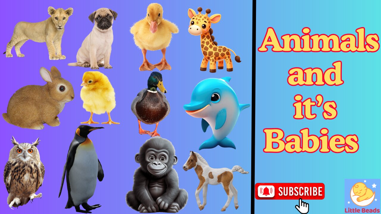 Animals and its Babies. #LittleBeads #kidseducation #TeddyAndTimmy3D