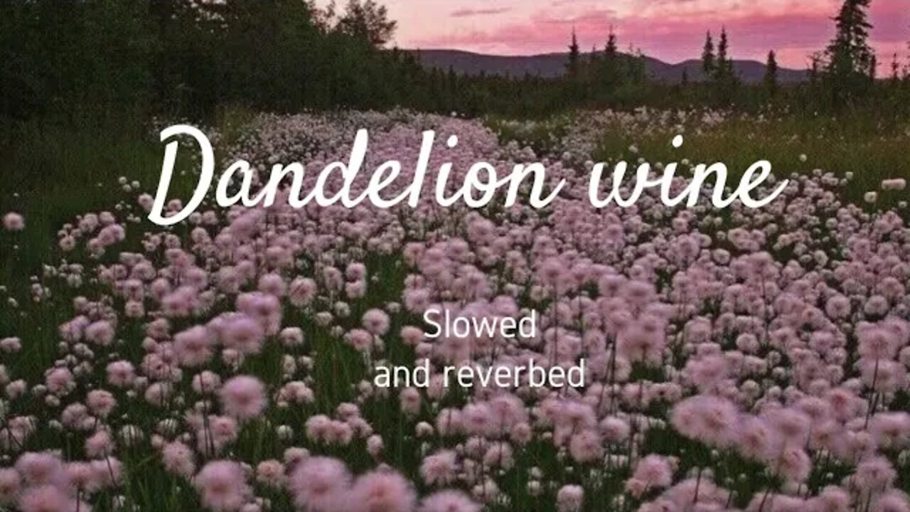 Dandelion wine - Gregory Alan Isakov (slowed +reverbed), I am in a field of Dandelion + lyrics below