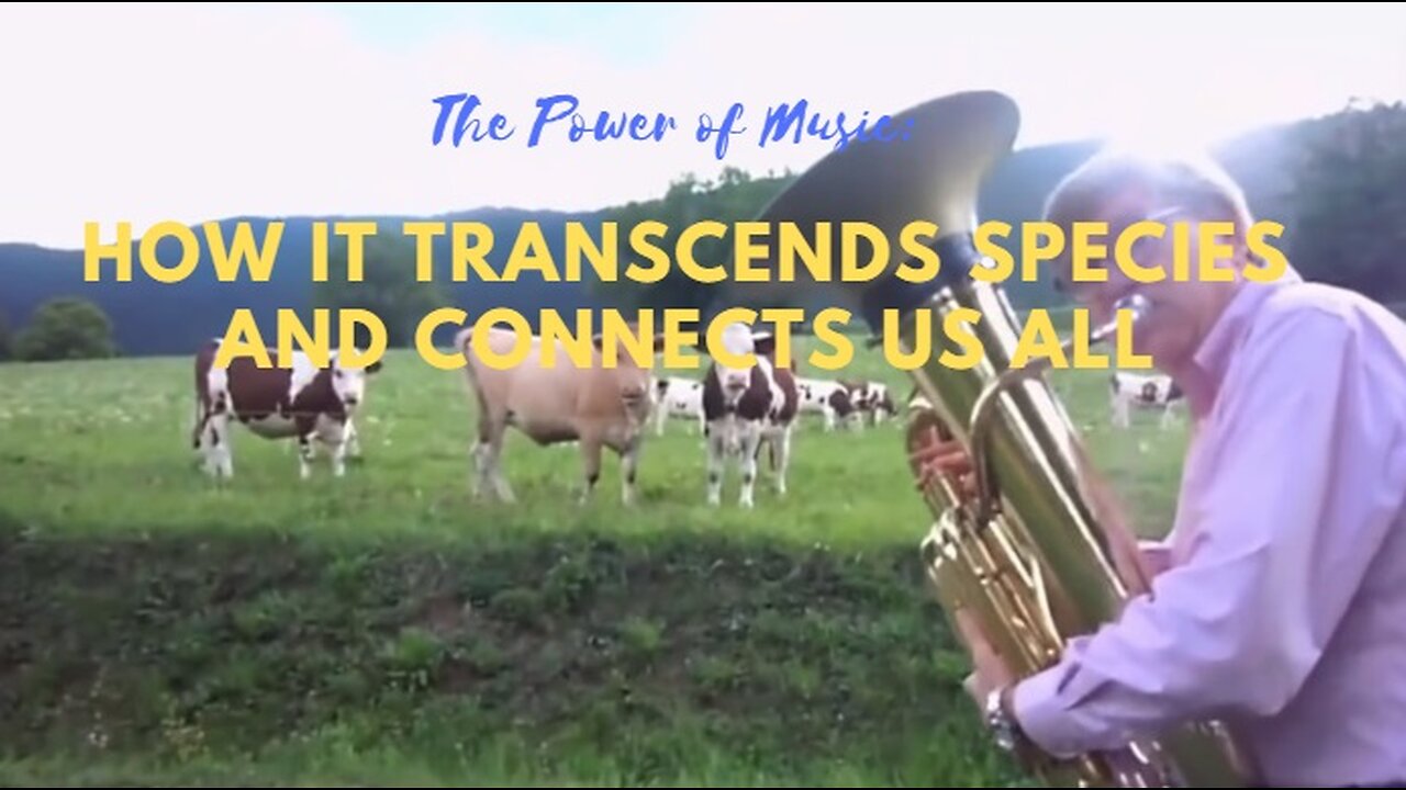 The Power of Music: How it Transcends Species and Connects Us All