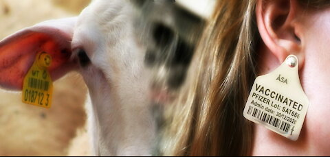 Cannot Buy or Sell Without Vaccine (Don Lemon)