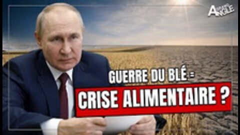 Crise alimentaire pourquoi le prix des céréales stagne même après le blocus russe