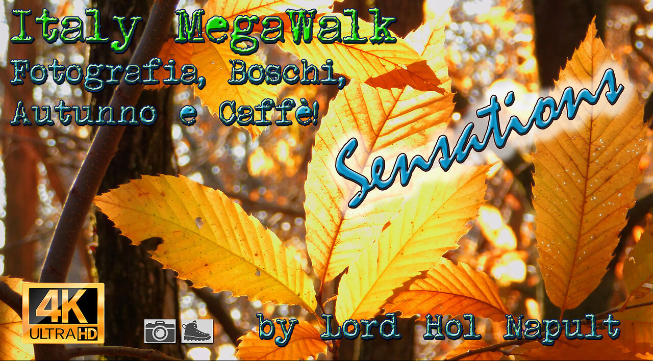 Italy MegaWalk - Fotografia, Boschi, Autunno e Caffè! - SENSATIONS