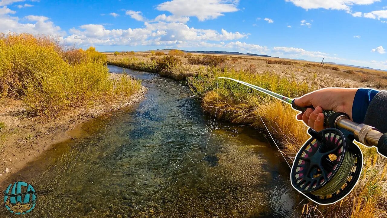 Streamer Fishing a TINY Creek (NEW PB BROOK TROUT!)