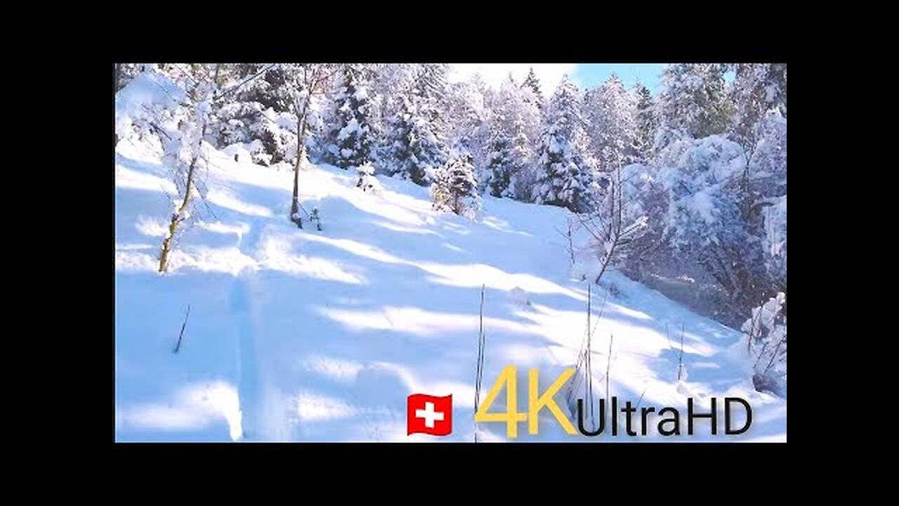 #Winter Forest walking in Snow in Switzerland