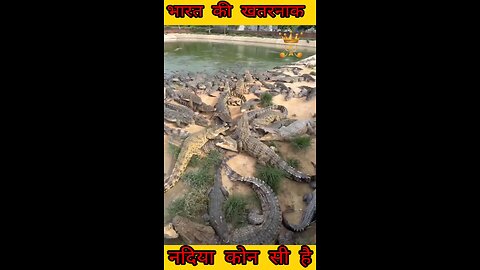 भारत की खतरनाक नदिया #facts #viral #viralvideos #science #animals