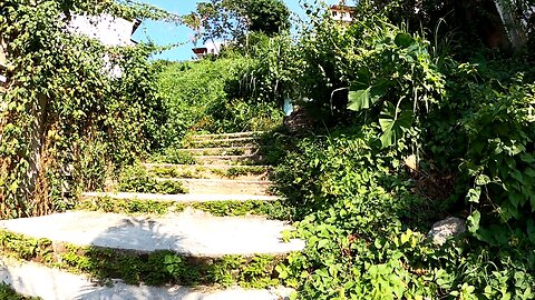 Hiking in Puerto Vallarta...