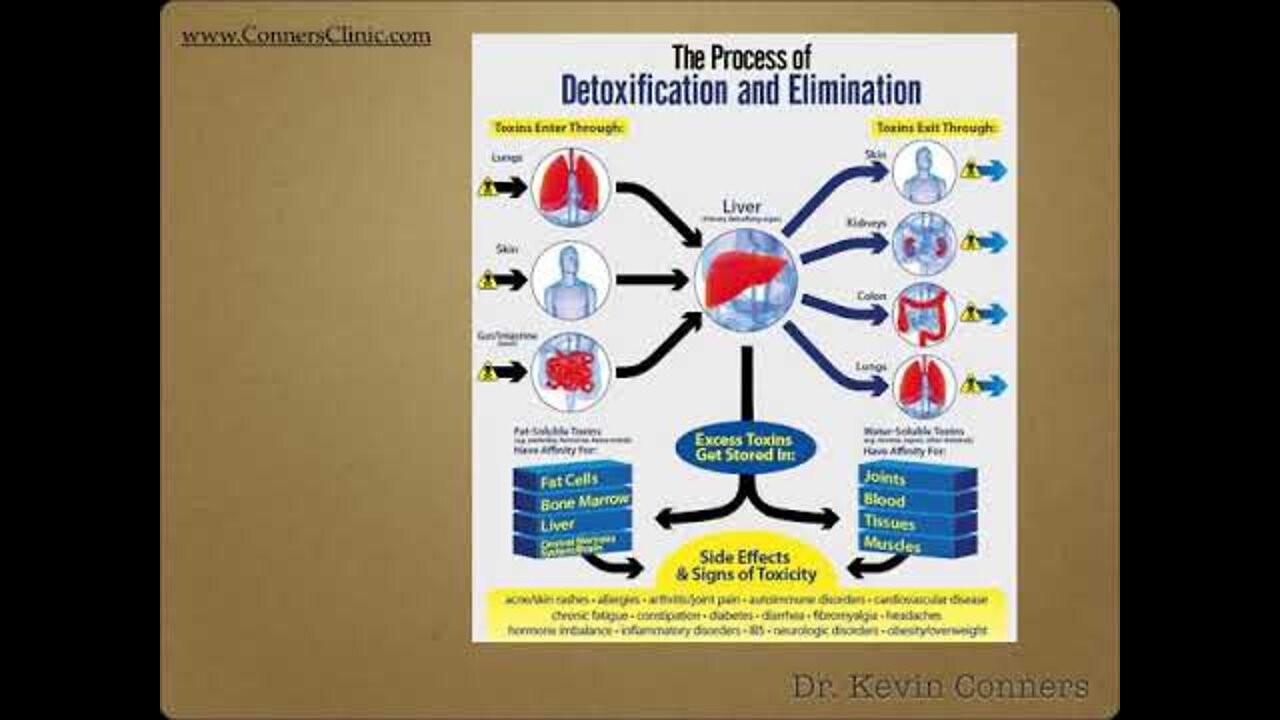 Livton Complex for Liver Detox | Dr. Kevin Conners - Conners Clinic