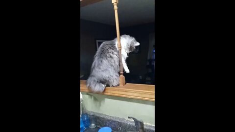 She's just trying to pay her student loans