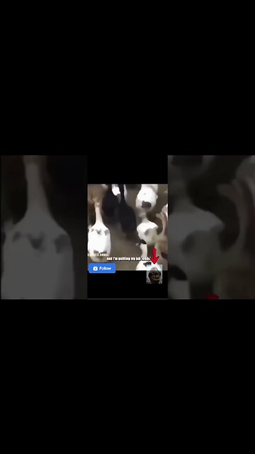 #Mr.RazorBaker Find the fun side of the MOON ! :D