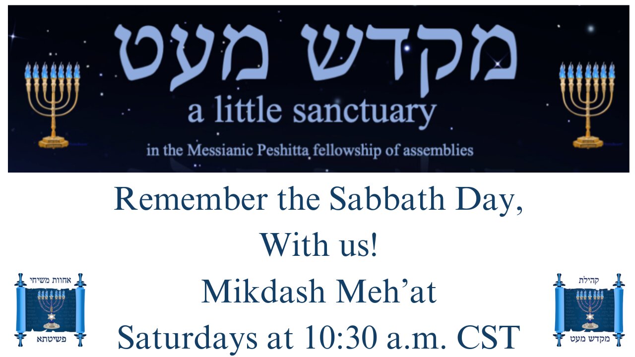 Shabbat Emor (Speak) 4/27/24