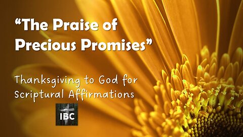 The Praise of Precious Promises, Pastor David Hansen, 11-29-2023