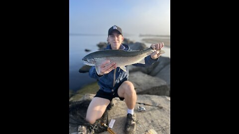 Steelhead Fishing Lake Erie