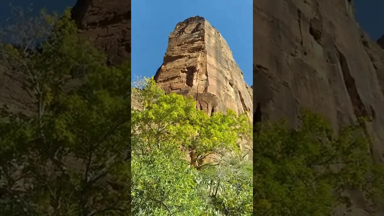 Zions National Park, Temple of Sinawava, Utah 10.25.2022 -!-