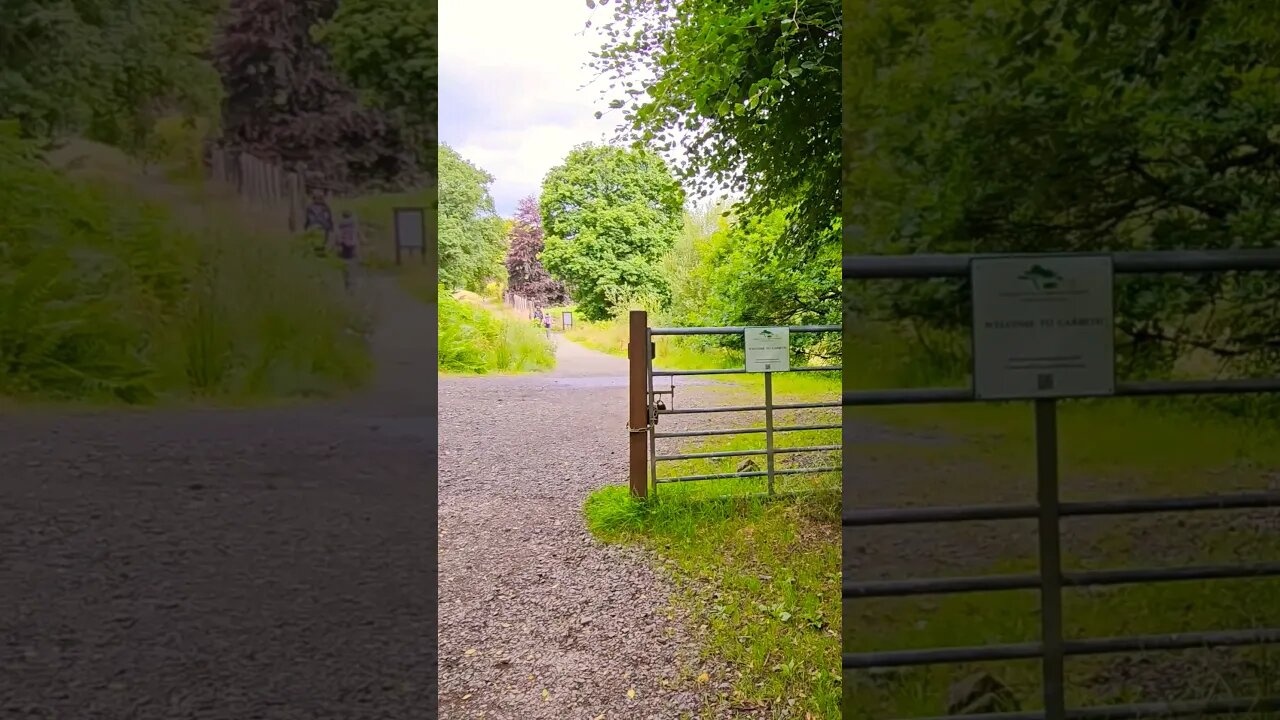 The gate towards Carbeth on The West Highland Way Scotland #westhighlandway