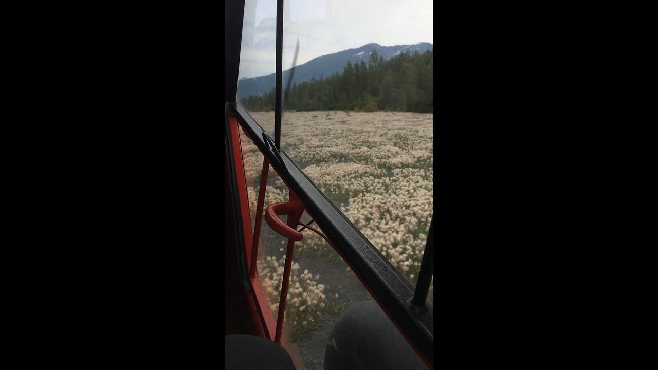 Flying with pops