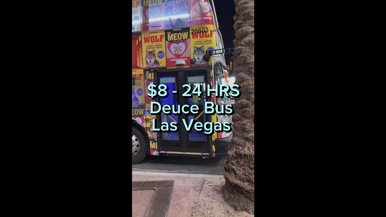 Affordable ways to get around Las Vegas $8– .24 hour bus pass 