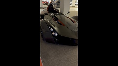 Full carbon fiber bac mono