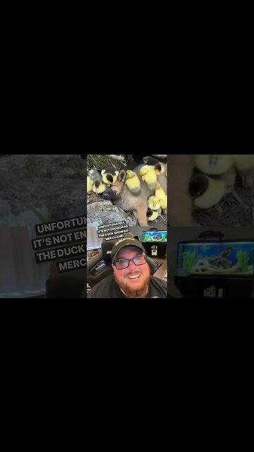 Here’s Your Dose of REALarious…🤣🤣🤣 #makeyoulaugh #duet #joke #funnycomedy #comedy #comedyshorts