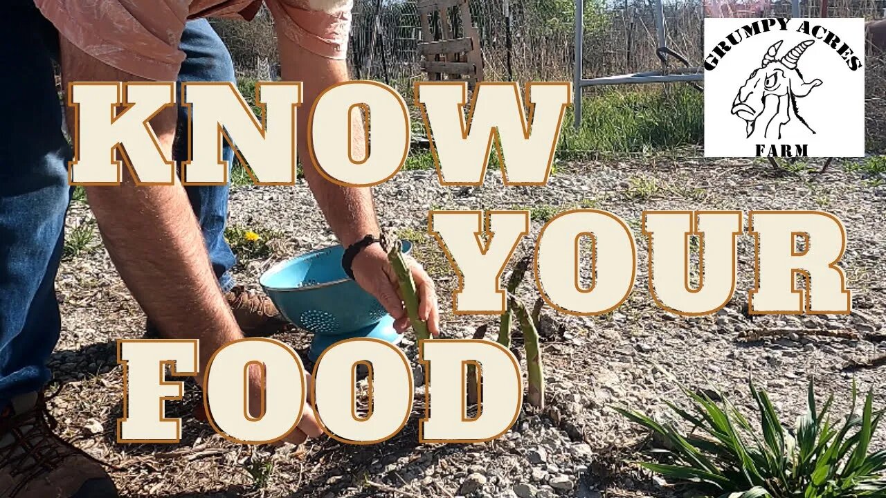 More About Driveway Asparagus And Know Your Food