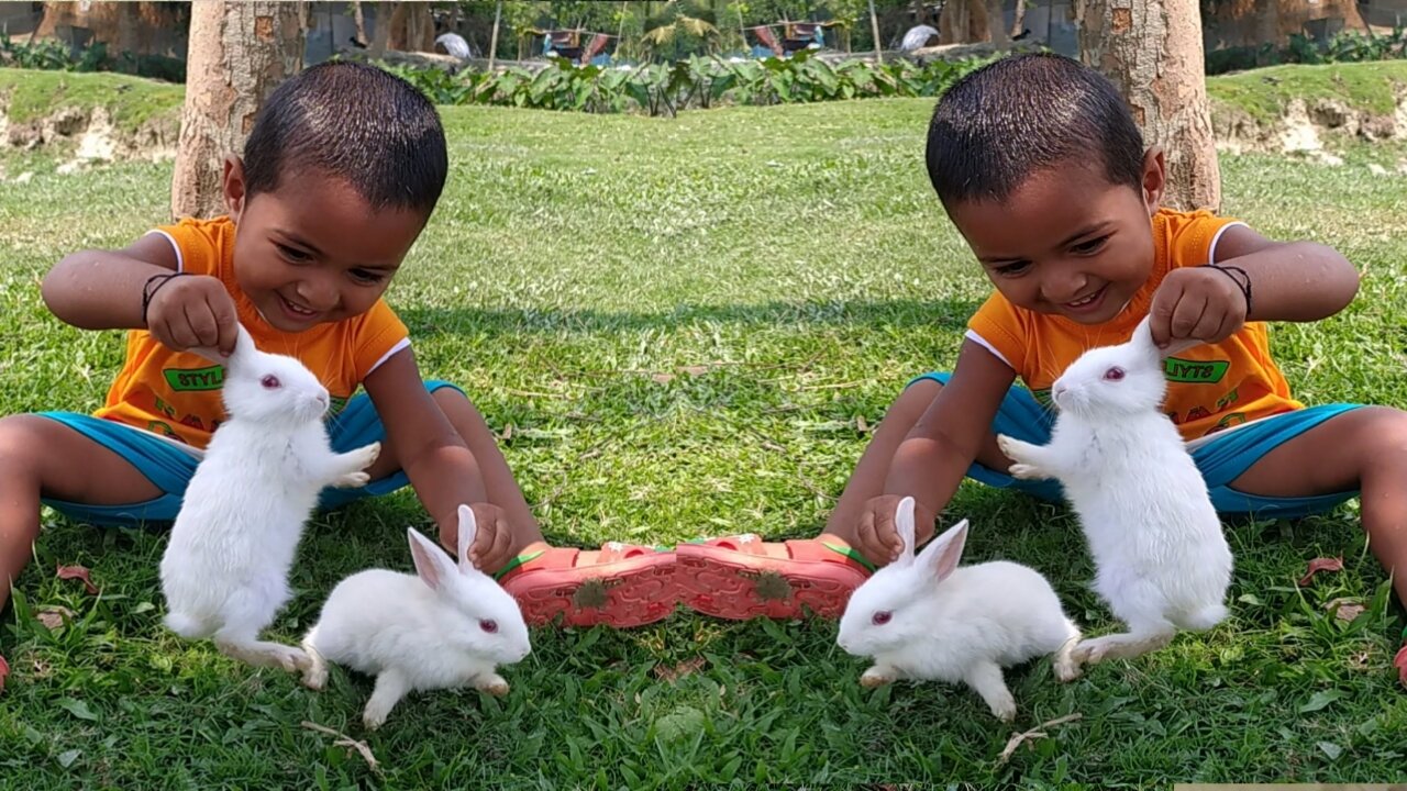 Happy Moment with rabbits