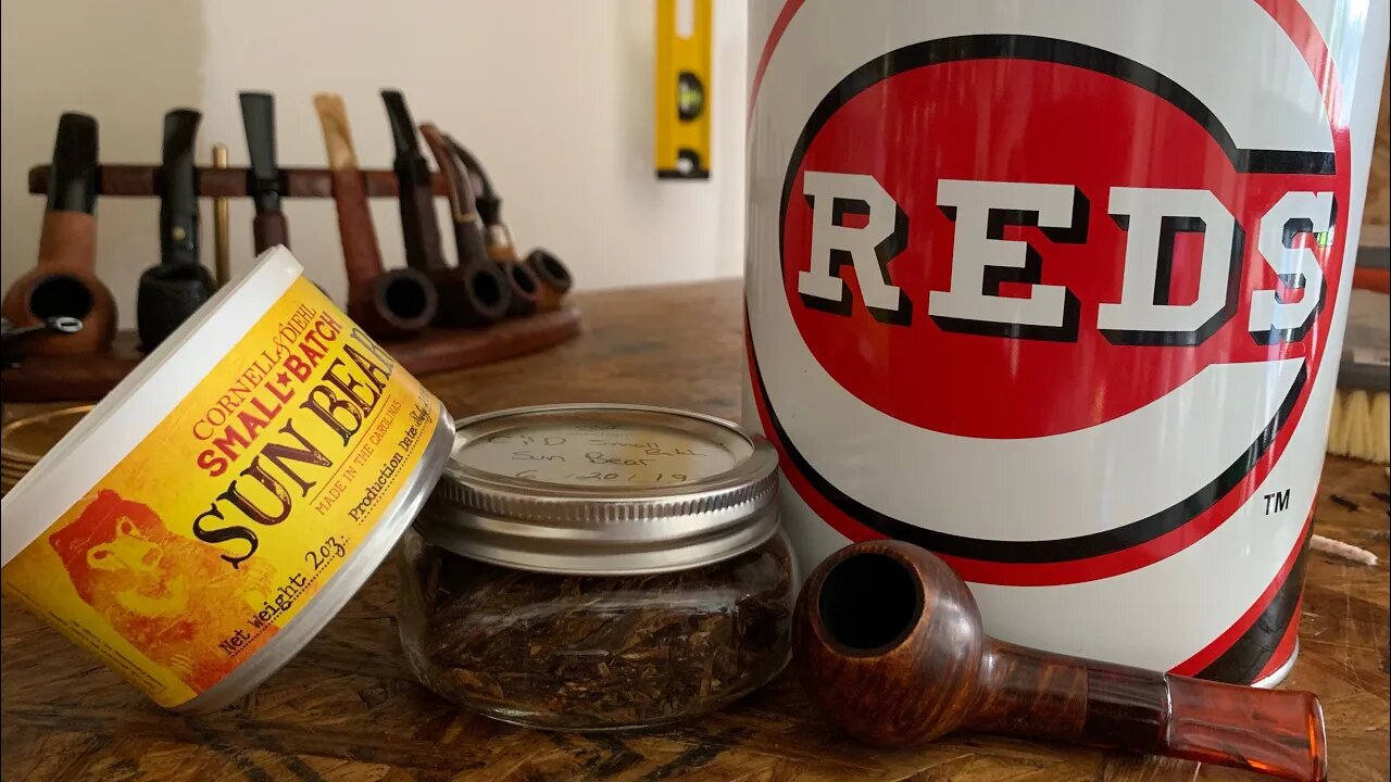 Sunday with Sun Bear ☀️ 🐻