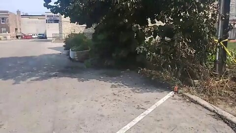 Kenosha Carnage