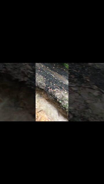 The damage to our road has trapped us on our properties