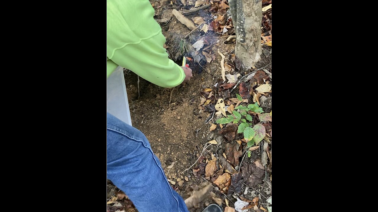 Battling the Ground Hornets in Kentucky 2021