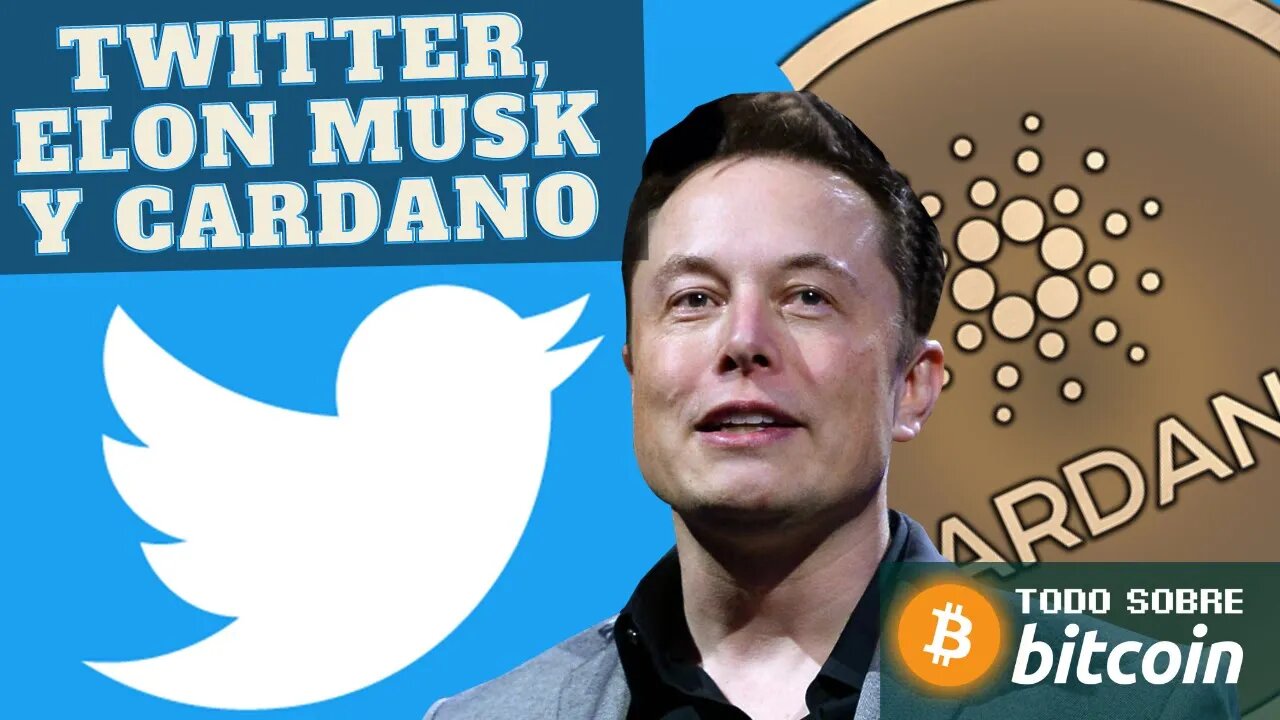 Twitter, Musk y Cardano