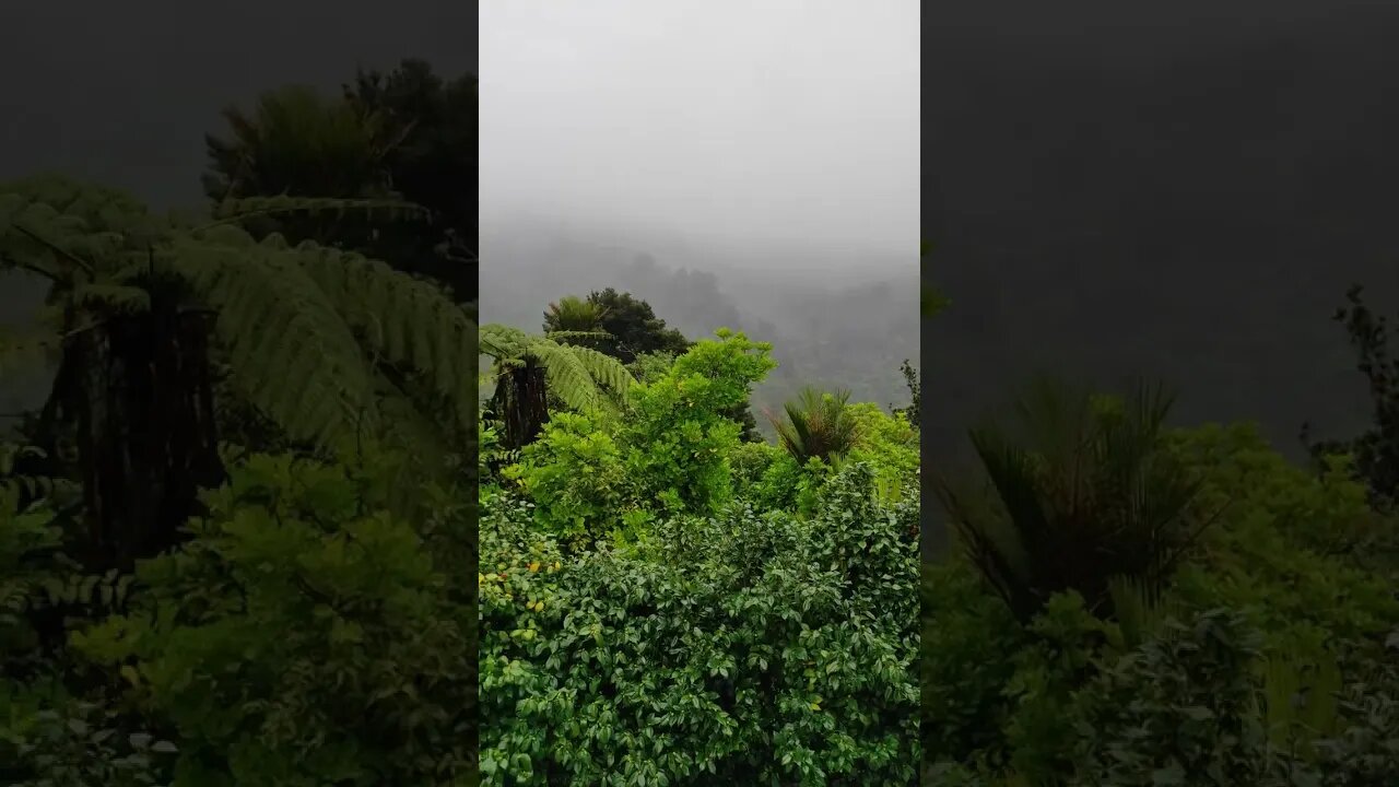 Waitakere Ranges in the rain from Waitakere Spa and Resort.