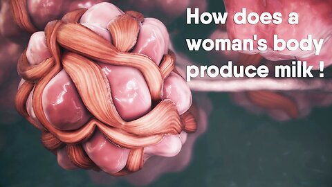 How woman body produce milk