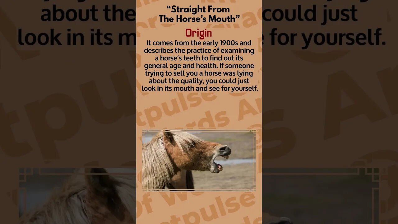 "Straight From The Horse’s Mouth" | Fascinating Origins Of Words And Phrases #part13 | #factpulse