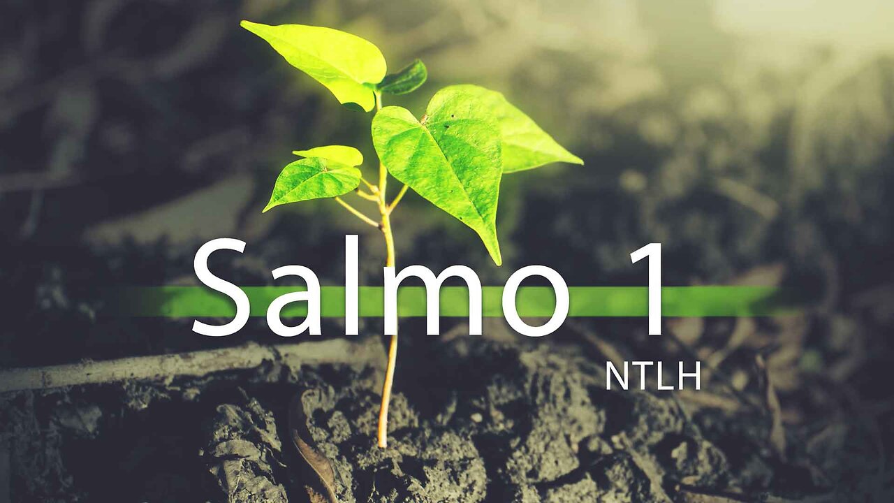 Salmos 1 - A verdadeira felicidade