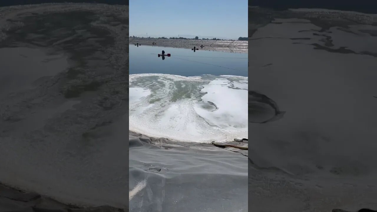 Do you like reactions? 52% hydrogen peroxide in a dirty pond.