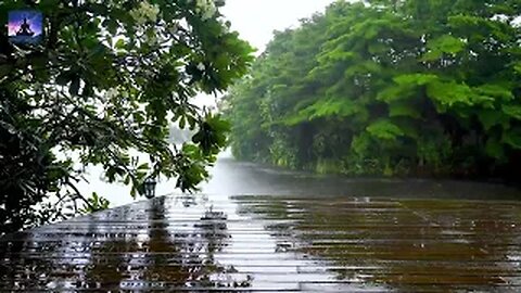 Rain on river 10 Hour Rain