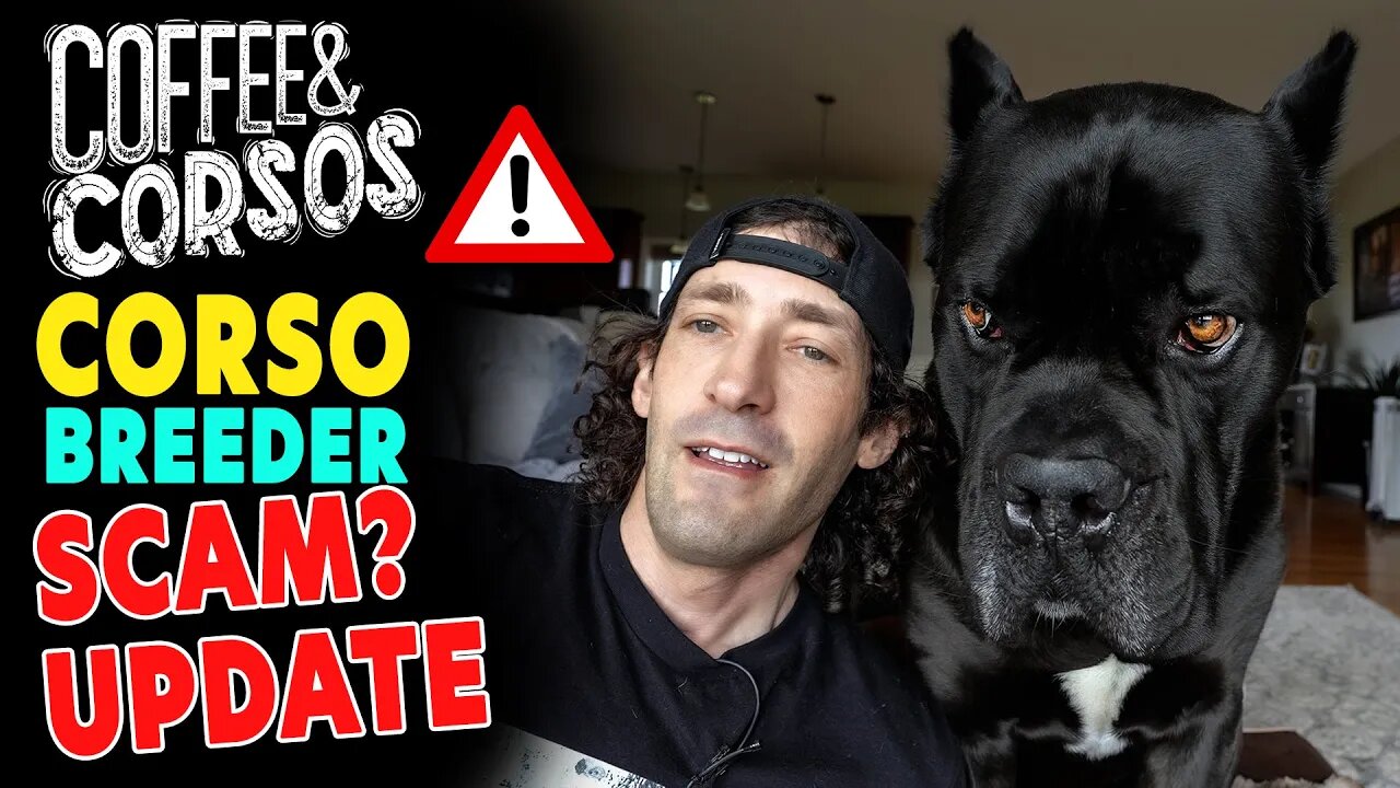 SCAM Update - Coffee & Corsos LIVE Q&A with Jason Corey