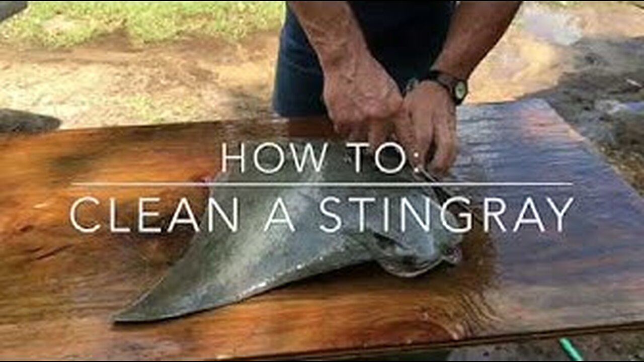 How To Clean a Stingray