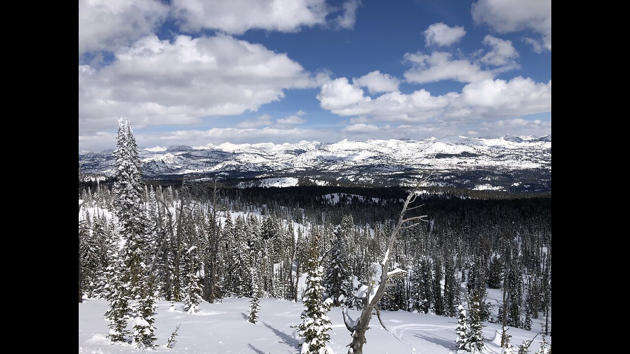 Powder Day at the Tamarack Love Shack