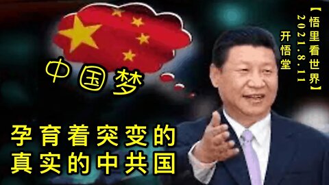 KWT2250孕育着突变的真实的中共国20210811-5【悟里看世界】