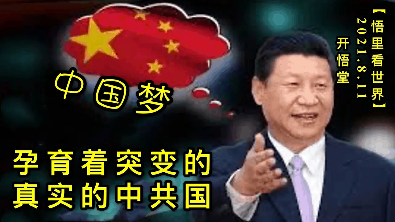 KWT2250孕育着突变的真实的中共国20210811-5【悟里看世界】