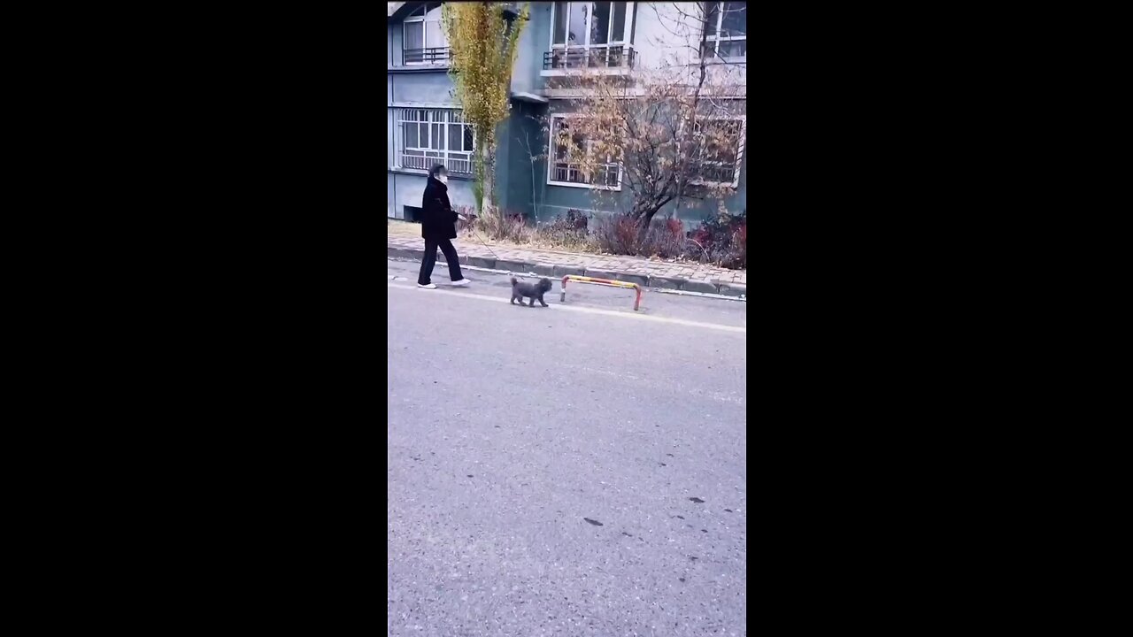 Simple happiness
